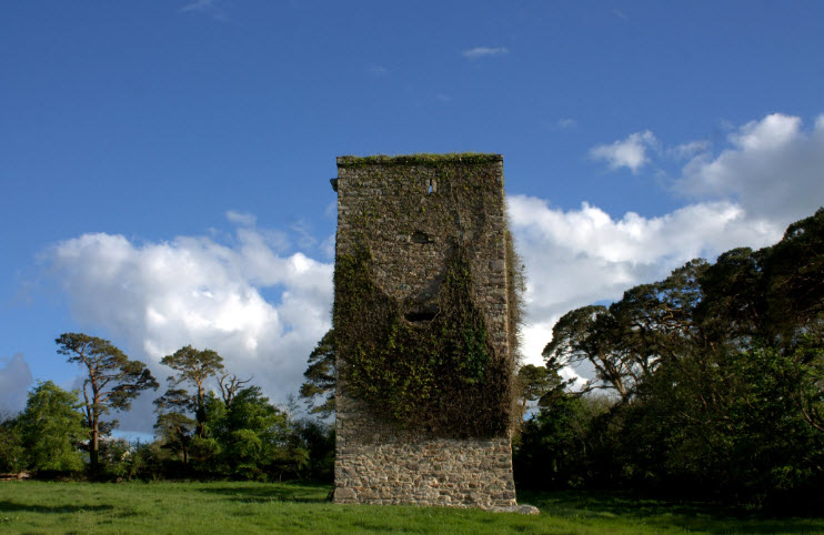 Barntown Castle Wexford, Republic of Ireland, Ireland